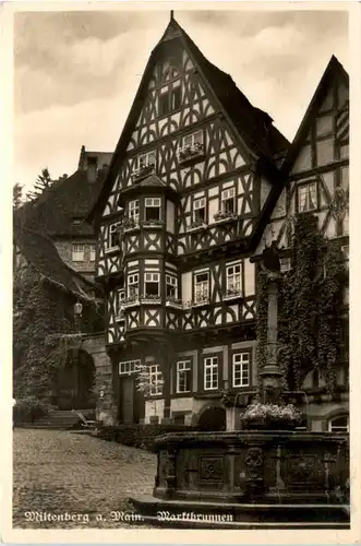 Miltenberg a. Main, Marktbrunnen -502420