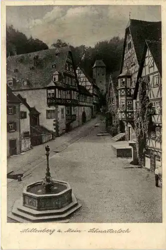 Miltenberg am Main, Schnatterloch -502440
