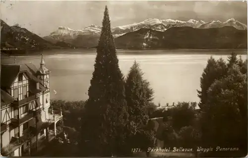 Weggis - Parkhotel Bellevue -601040