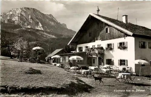 Anger - Fürmann Alp mit Zwiesel -600946
