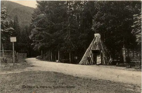 Seesen im Harz, Schildau-Köthe -503034