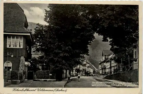 Kurort Wildemann Oberharz, -503054
