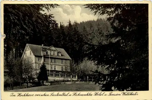 Hahnenklee im Harz, Hotel Waldkater -503074