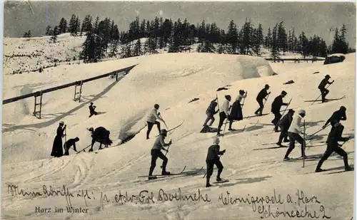 Harz im Winter - Ski -602430