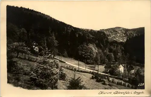 Kurort Bärenfels i. Erzgeb., -387534
