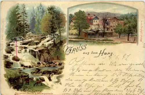 Gruss aus Harz - Wernigerode Hohnstein - Litho -603426