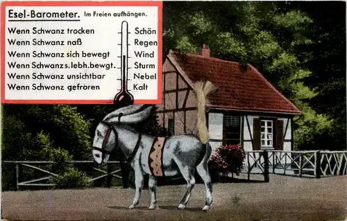 Esel Barometer -602292