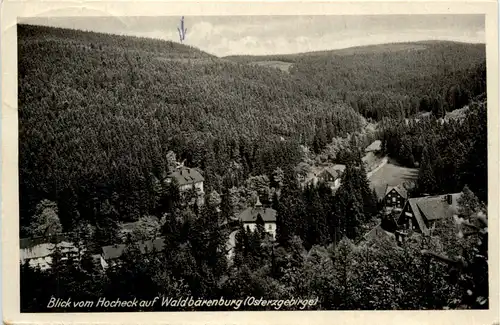 Waldbärenburg, Blick vom Hocheck -387620