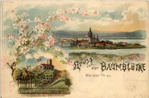 Gruss von der Baumblüte Werder Havel - Litho -603566