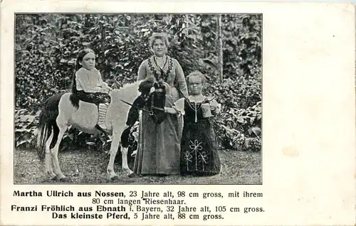 Nossen - Ebnath - Zirkus -602640