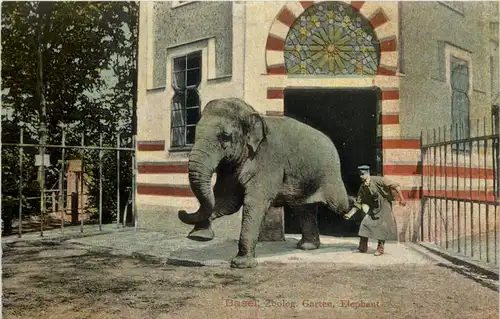 Basel - Zoologischer Garten - Elephant -603264