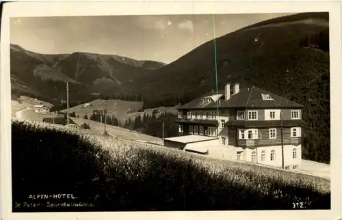 St. Peter-Spindelmühle - Alpen Hotel -603844