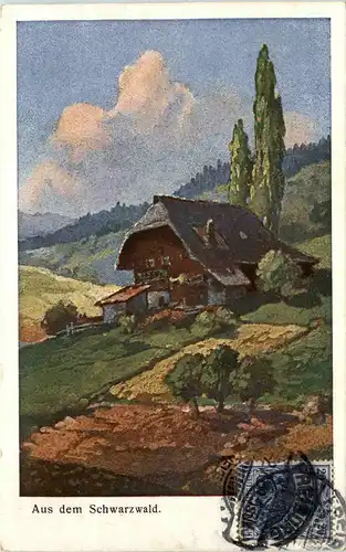 Aus dem Schwarzwald -602912