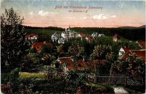 Barenberg bei Schierke, Blick auf Villenkolonie -388420