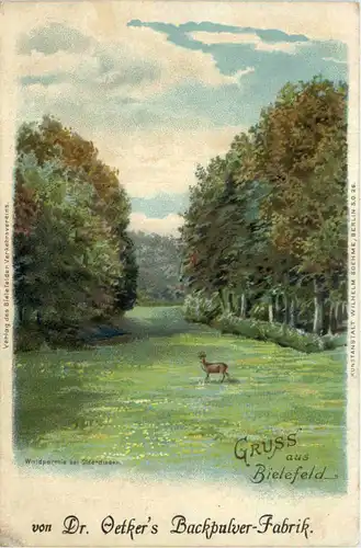 Gruss aus Bielefeld - Litho -603478