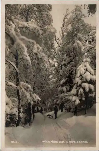 Winterbild aus Schreiberhau -473306