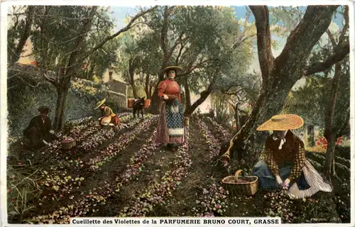 Grasse - Parfumerie Bruno Court -473506