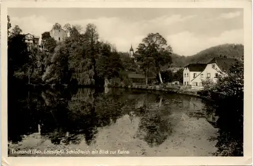 Tharandt, Schlossteich mit Blick zur Ruine -389524