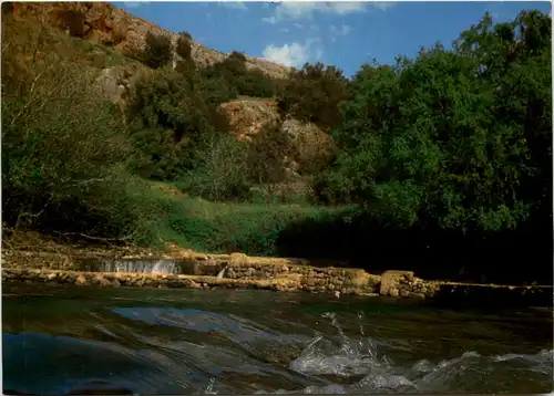 Israel - Jordantal Quellfluss Nahal Hermon -604418