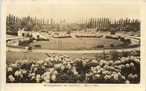 Berlin 1944, Sommerblumen am Funkturm -503760