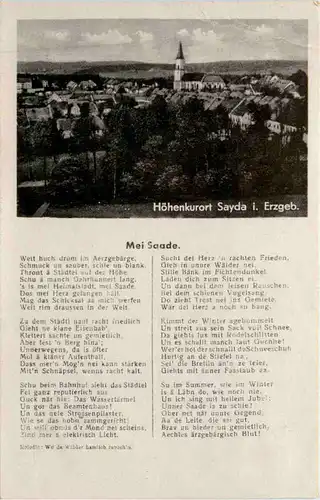 Sayda im Erzgebirge -390152