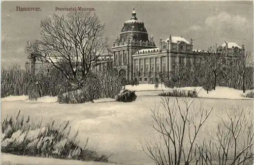 Hannover, Provinzial-Museum -390426