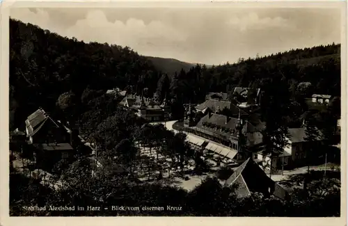 Alexisbad i.H., Blick vom eisernen Kreuz -504286