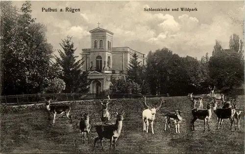 Putbus auf Rügen, Schlosskirche und Wildpark -504386