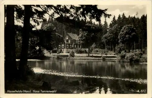 Hasselfelde Harz, Haus Tannenwald -504466