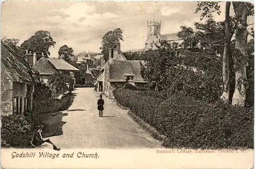 Godshill Village and Church -475102