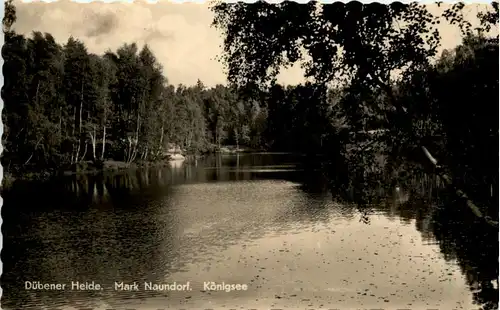 Dübener Heide, Mark Naundorf, Königsee -503682