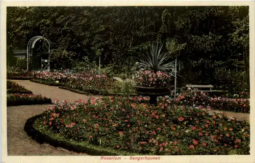 Sangerhausen, Rosarium -504886