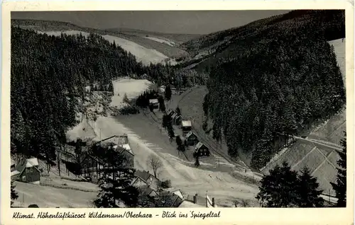 Wildemann im Harz, Blick ins Spiegeltal -504616