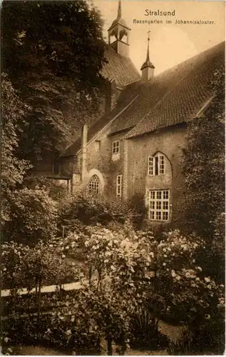 Stralsund, Rosengarten im Johanniskloster -504424