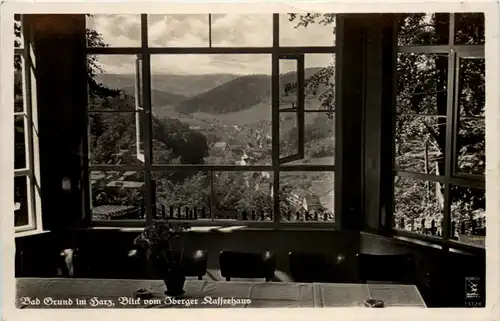 Bad Grund im Harz, Blick vom Iberger Kaffehaus -505206