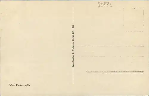 Kurort Benneckenstein, Mittlerer Teil mit Wurmberg und Brocken -504644