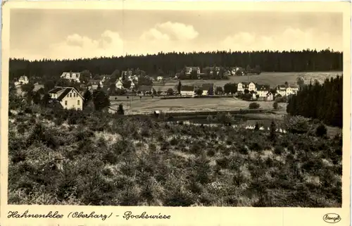 Hahnenklee i. H., Bockswiese -505540