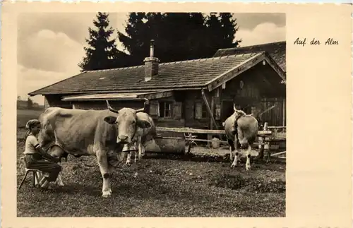 Auf der Alm -504562