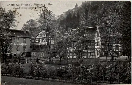 Altenbrak Harz, Hotel Waldfrieden -505740