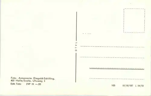 Ilfeld - Südharz -504662