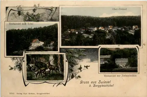 Gruss aus Zwiesel bei Berggiesshübel -478330