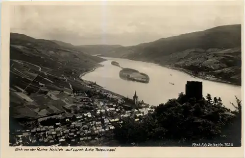 Blick von der Ruine Nollich auf Lorch u. die Toteninsel -505044