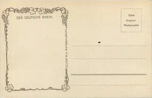 Blick von der Ruine Nollich auf Lorch u. die Toteninsel -505044