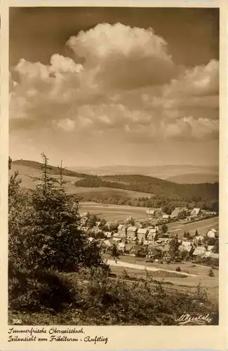 Sommerfrische Oberweissbach, Teilansicht vom Fröbelturm-Aufstieg -505202