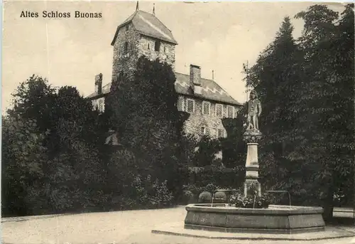 Altes Schloss Buonas -506246