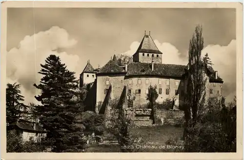 Chateau de Blonay -506326