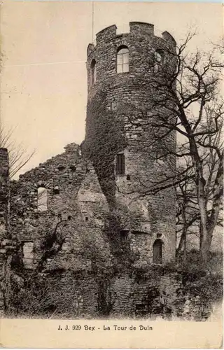 Bex, La Tour de Duin -506406