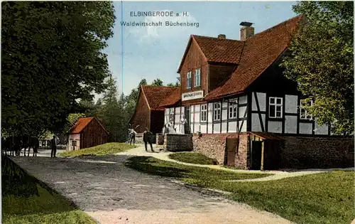 Elbingerode a. H., Waldwirtschaft Büchenberg -506008