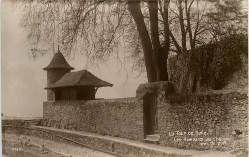 La Tour de Peilz -506546