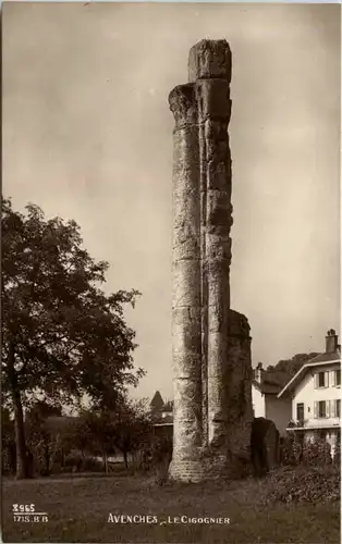 Avenches, le Cigognier -506148